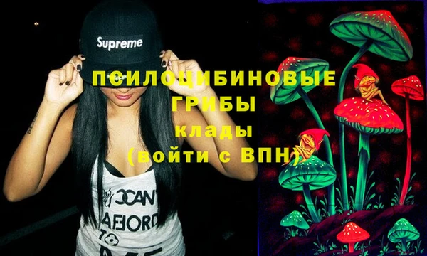 скорость Баксан