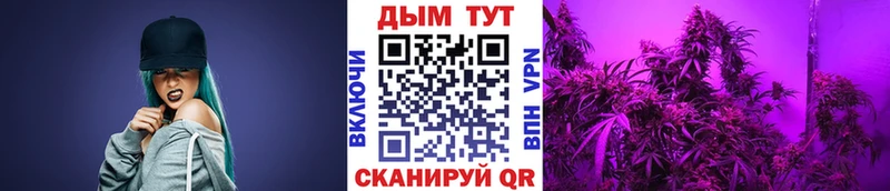 закладки  ссылка на мегу ONION  Шишки марихуана ГИДРОПОН  Бирск 